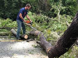 Lawn Grading and Leveling in Indialantic, FL